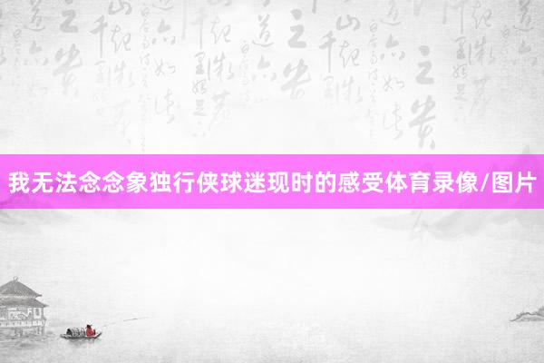 我无法念念象独行侠球迷现时的感受体育录像/图片