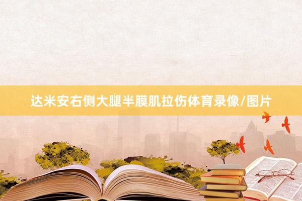 达米安右侧大腿半膜肌拉伤体育录像/图片