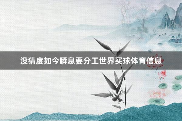 没猜度如今瞬息要分工世界买球体育信息