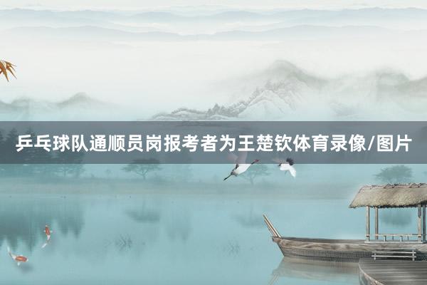 乒乓球队通顺员岗报考者为王楚钦体育录像/图片