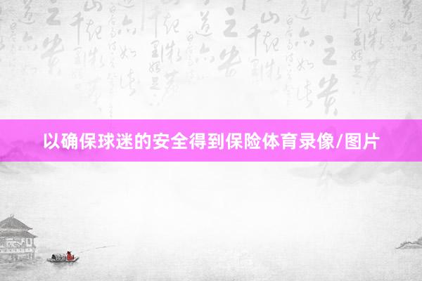 以确保球迷的安全得到保险体育录像/图片