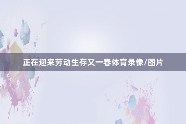 正在迎来劳动生存又一春体育录像/图片
