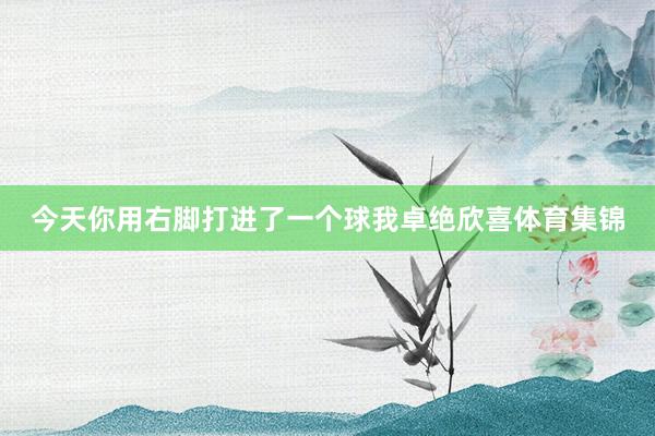 今天你用右脚打进了一个球我卓绝欣喜体育集锦