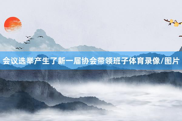 会议选举产生了新一届协会带领班子体育录像/图片