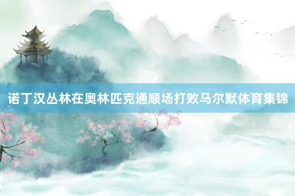 诺丁汉丛林在奥林匹克通顺场打败马尔默体育集锦