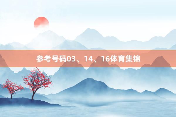 参考号码03、14、16体育集锦