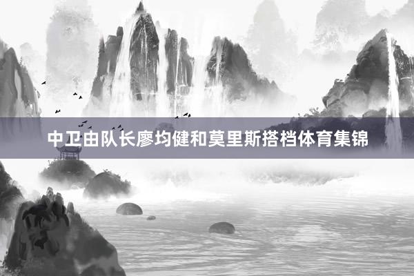中卫由队长廖均健和莫里斯搭档体育集锦