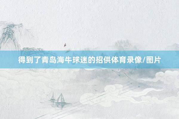 得到了青岛海牛球迷的招供体育录像/图片