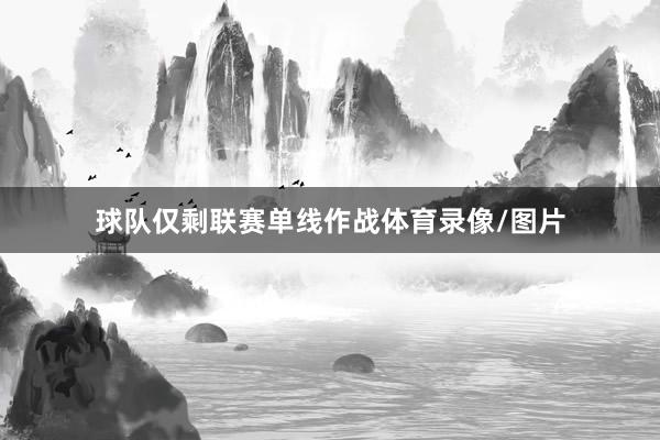 球队仅剩联赛单线作战体育录像/图片