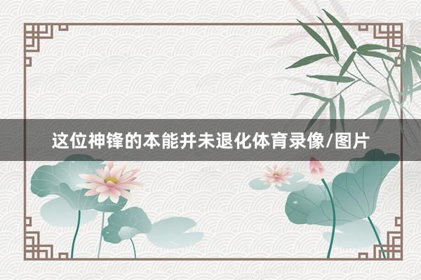 这位神锋的本能并未退化体育录像/图片