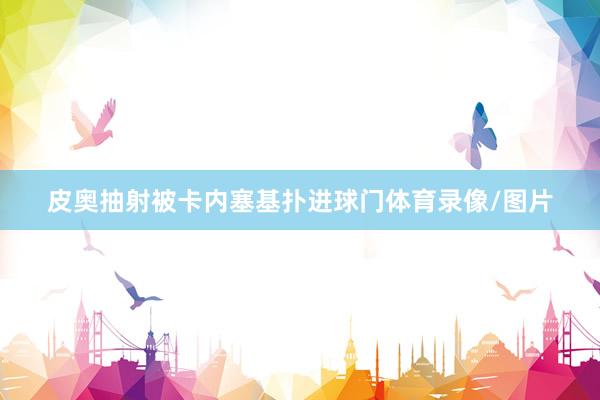 皮奥抽射被卡内塞基扑进球门体育录像/图片