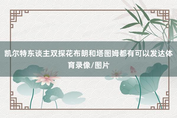 凯尔特东谈主双探花布朗和塔图姆都有可以发达体育录像/图片