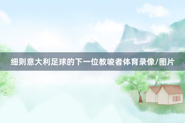 细则意大利足球的下一位教唆者体育录像/图片