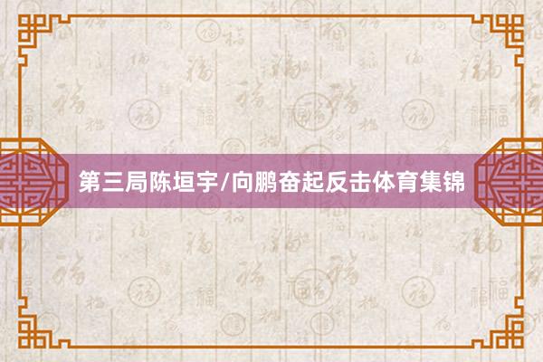 第三局陈垣宇/向鹏奋起反击体育集锦