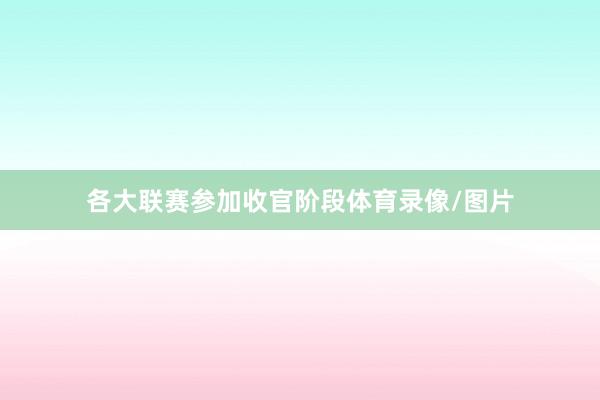 各大联赛参加收官阶段体育录像/图片