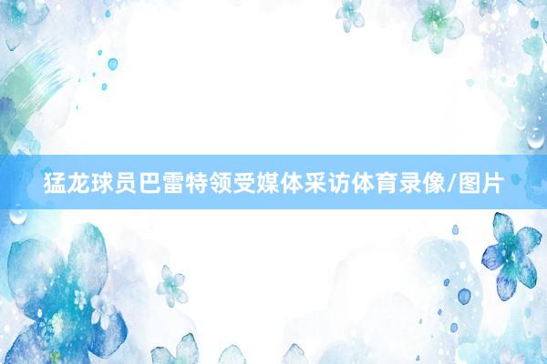 猛龙球员巴雷特领受媒体采访体育录像/图片
