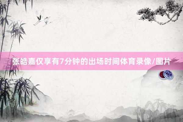 张皓嘉仅享有7分钟的出场时间体育录像/图片