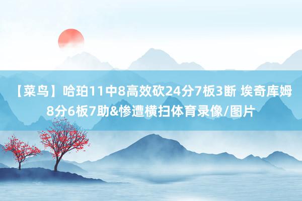 【菜鸟】哈珀11中8高效砍24分7板3断 埃奇库姆8分6板7助&惨遭横扫体育录像/图片