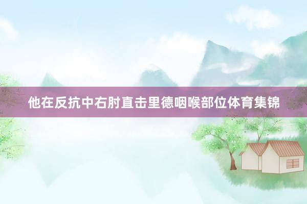 他在反抗中右肘直击里德咽喉部位体育集锦