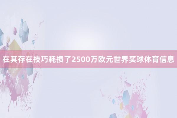 在其存在技巧耗损了2500万欧元世界买球体育信息