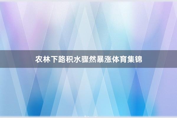 农林下路积水骤然暴涨体育集锦