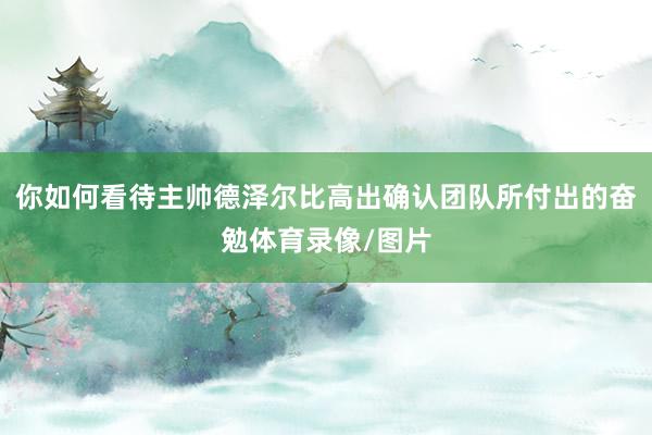 你如何看待主帅德泽尔比高出确认团队所付出的奋勉体育录像/图片