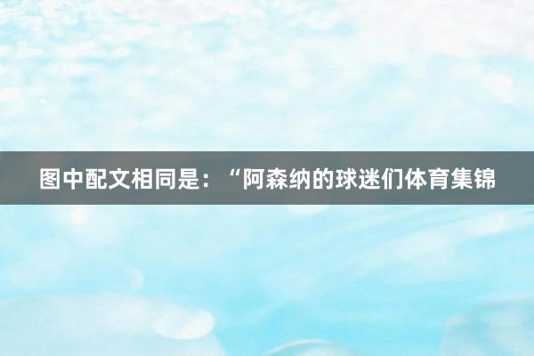图中配文相同是：“阿森纳的球迷们体育集锦