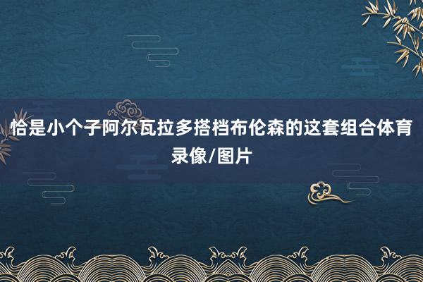 恰是小个子阿尔瓦拉多搭档布伦森的这套组合体育录像/图片