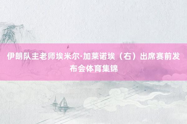 伊朗队主老师埃米尔·加莱诺埃(右)出席赛前发布会体育集锦