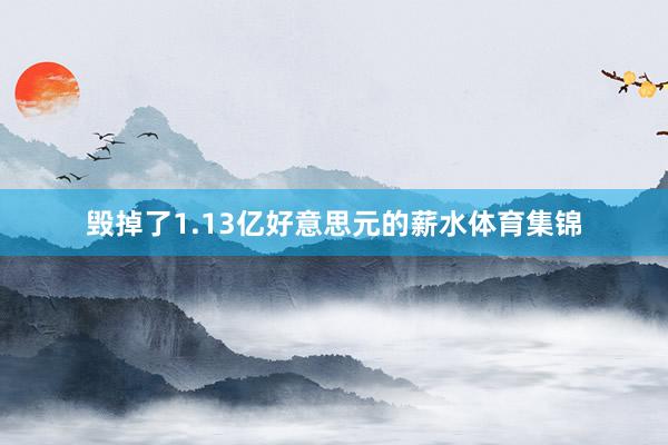 毁掉了1.13亿好意思元的薪水体育集锦