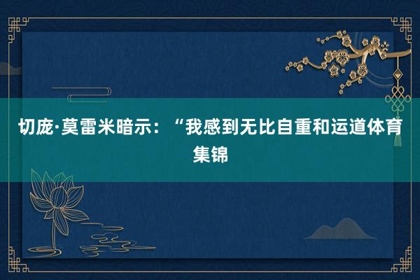 切庞·莫雷米暗示：“我感到无比自重和运道体育集锦